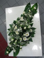 /album/smutocna-vazba/a399141-2981235489956-910914064-n-jpg/