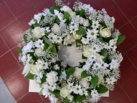 /album/smutocna-vazba/a538453-3073219789506-234349488-n-jpg/