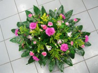 /album/smutocna-vazba/a577169-2961230869853-901363867-n-jpg/