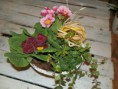 /album/aranzmany/a998452-625083277512227-85179109-n-jpg/