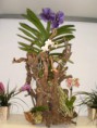 /album/aranzmany/a1003194-625082414178980-1177576852-n-jpg/